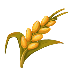 Grano