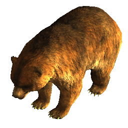 Urso