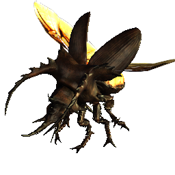Escarabajo Volador
