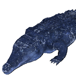 Crocodil înghețat