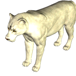 Leonessa