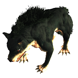 Orkhund (3 Tage)