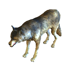 Warg